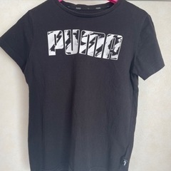 PUMA ビッグロゴTシャツ140cm