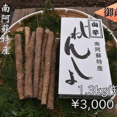 【お歳暮用】自然薯　1.3kg　お歳暮　贈答　南阿蘇　芋　野菜　...