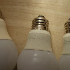 LEDランプ　電球　電球色３個（５Ｗ）　昼光色1個(4.4W）E26