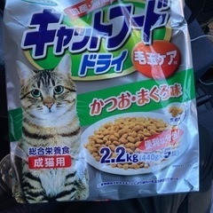 キャットフード