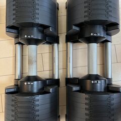 可変式ダンベル フレックスベル 2kg刻み 32kg タイプ