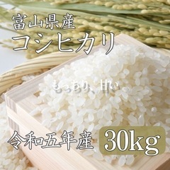 【売り切れ次第終了！】コシヒカリ新米　玄米30kg