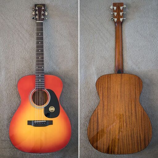 ★Aria Dreadnought AF-280  単板トップ  RITTERギグバッグ