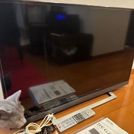 REGZA 液晶テレビ　2019年製40V31