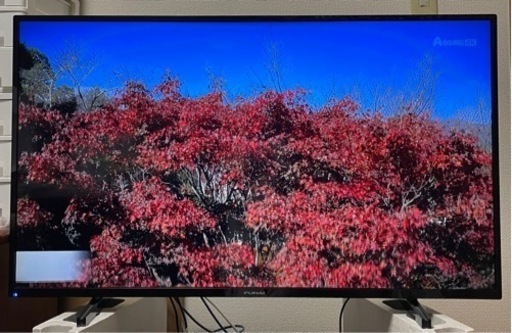 FUNAI 4Kテレビ 43インチ 2020年製　FL-43U3130