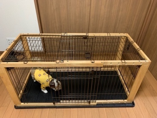 犬ゲージ
