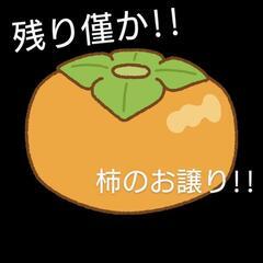 【残りわずか！】柿　