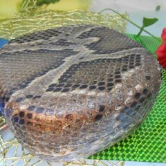 H3現品販売(送料無料)15.980円　沖縄三線専用　蛇皮強化チーガ H3現品販売(送料無料)15.980円 沖縄三線専用 蛇皮強化チーガ