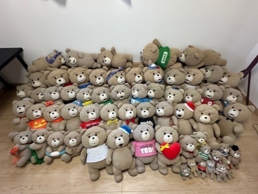 その他 ted 56