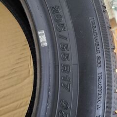 バリ山！ 17インチ