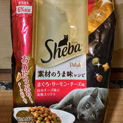 シーバ　猫ごはん