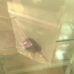 最終値下げ・12月10日迄・ダルトン ドクターキャビネット