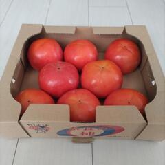 奈良県産 完熟柿