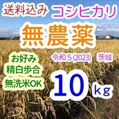 農薬不用 コシヒカリ 10kg 令和5年(2023) 茨城 おこ...