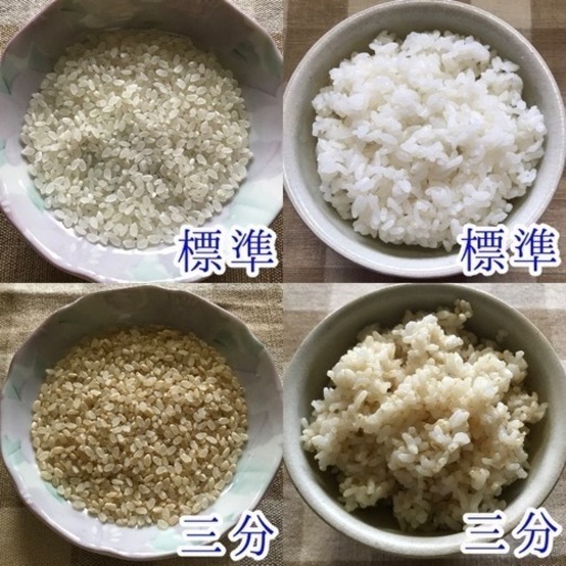 農薬不用 コシヒカリ 令和5年(2023) 茨城 おこめ 白米/玄米