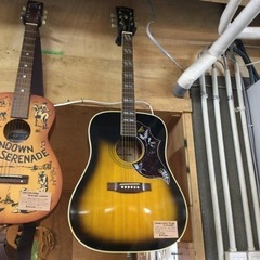 Tomson ハミングバード TF-250 アコースティックギター 【F00350】