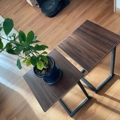 【譲渡先決定】観葉植物置き　ローテーブル　2個セット