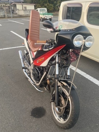 TV250FEインテグラスペシャルエディション