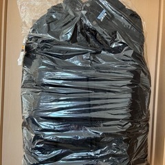 THE NORTH FACE ダウンジャケット 刺繍 600