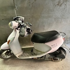 SUZUKI原付バイク