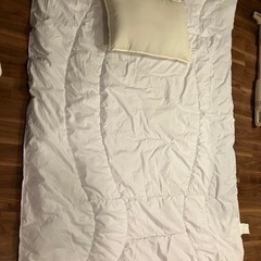 ニトリ　布団　枕　⭐︎このあとお引き取り可能な方⭐︎