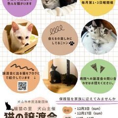 12月3日（日）猫の譲渡会　@犬山市動物総合医療センター