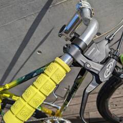 Nishiki Neoforce-NZ クラシック MTB 8速