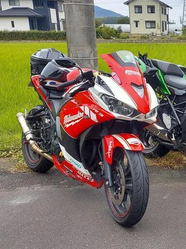 早い者勝ち！最終値下げ！ヤマハ YZF-R25　RG10J 250cc フルエキ　バックステップ　14000㎞