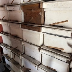 蜜蜂10枚用巣箱　30箱