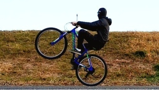 【本格マウンテンバイク】27.5インチ SCHWINN