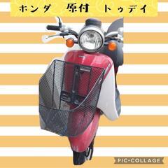 原付　today-ｆ　AF67 　 かわいい原付 ホンダ