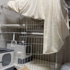 OSJ 猫ゲージ 