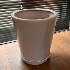 【ネット決済】植木鉢 大型 10号 ホワイト