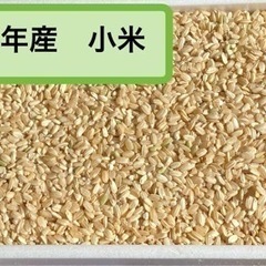 小米（クズ米・玄米）1500円/30kg