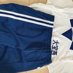 大宝西★体操服