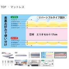 ★マニフレックス(magniflex) オクラホマ シングルサイズ