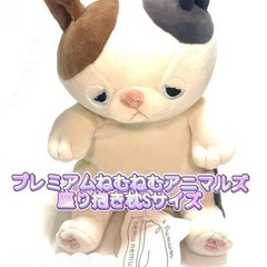 【新品】プレミアムねむねむアニマルズ Sサイズ ぬいぐるみ ねこ