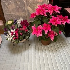 寄せ植え（ウィンターリース）　鉢植え（バラ咲きプリンセチア）セット