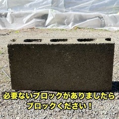 ブロック数十個ください