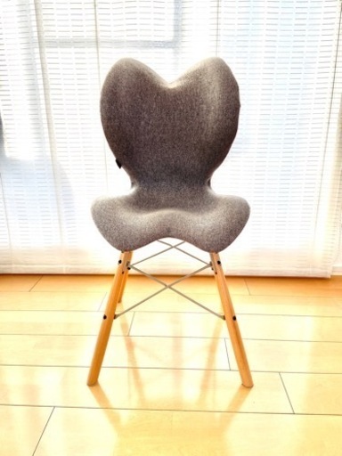 スタイルチェア イーエル　健康Chair《 グレー 》