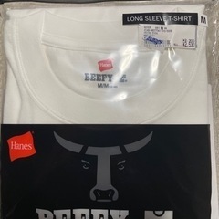 Hanes BEEFY Tシャツ×1 ロンT×2