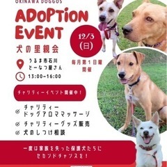 🐶犬の里親会🐾オキナワドゴス