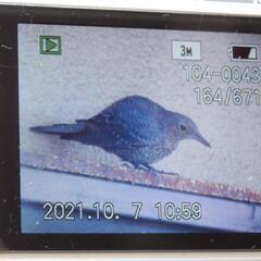 ❤️付属品・多数❤️動作品❤️パナソニック★FX37・白★箱付き❤️日本製