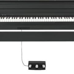 【ネット決済】【専用出品】KORG コルグ 電子ピアノ LP18...