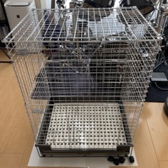 チンチラスペシャル 回し車付き