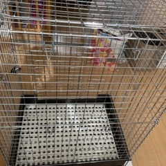 チンチラスペシャル 回し車付き