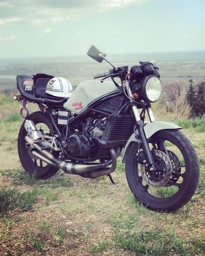 ヤマハ rz250R 29L 1XG