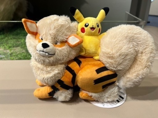 ウインディとピカチュウ