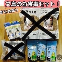 【新品/小鳥のご飯】 小鳥フード ペットフード セキセイインコ ...