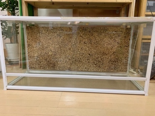 爬虫類ケージ 120×45×60 背面コルク板付